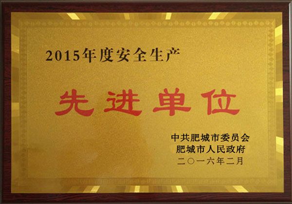 2015年度安全生产单位