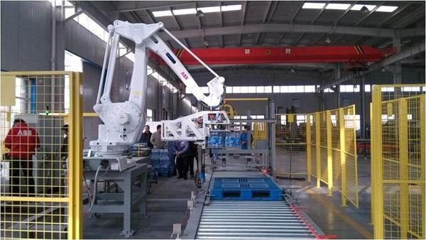 探秘全自动码垛机价格的浮动规律