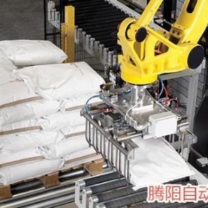码垛机器人哪家好?山东腾阳智能装备有限公司值得您信赖