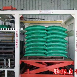 全自动高位码垛机特点规格及应用