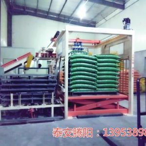 全自动高位码垛机的专业生产厂商