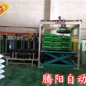 现代化包装生产线设备-全自动码垛机