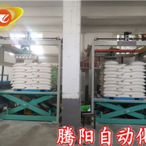 全自动码垛机抢占市场的优势