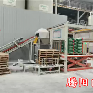 全自动高位码垛机确保码垛数量和质量