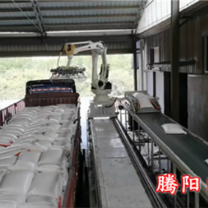 全自动装车码垛机械手是将物料装车而且整齐码垛的设备