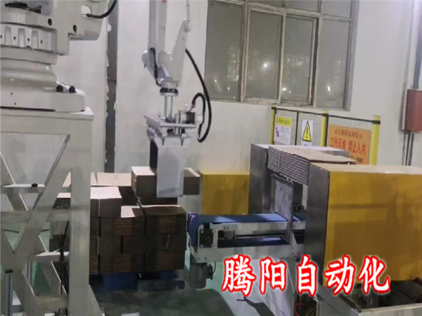 纸箱码垛机器人