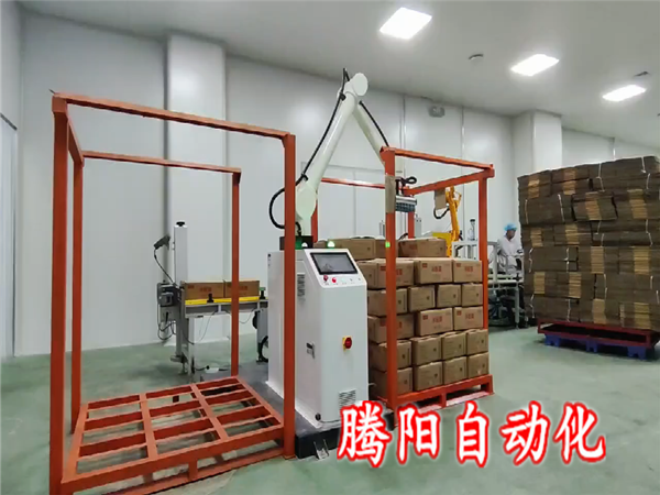 箱装食品协作码垛机器人
