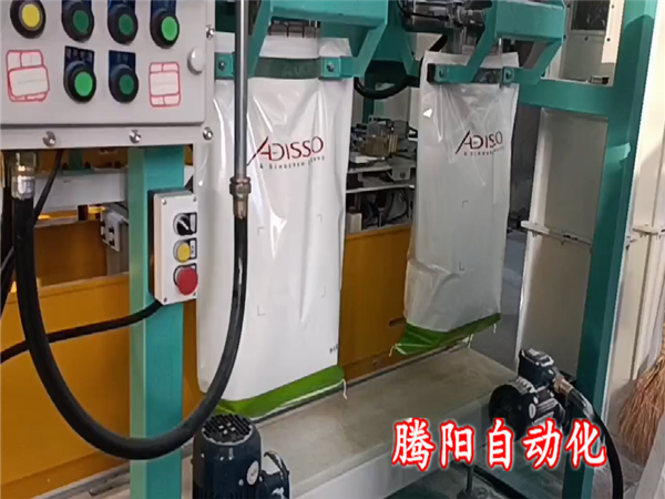 双工位包装码垛机生产线