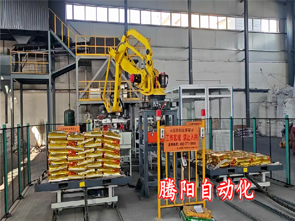 山东腾阳码垛机器人 按需定制+合理布局&#