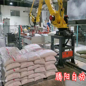 如何挑选合适的码垛机器人   