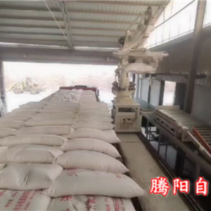 袋装装车机器人解放装车工人